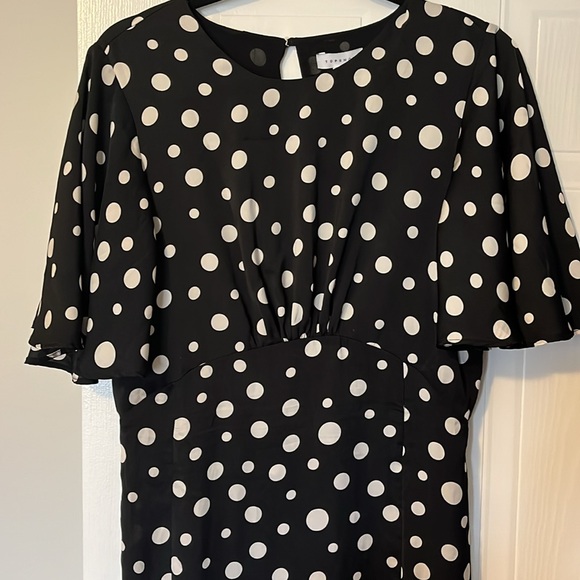 Topshop Austin Dress - Picture 4 of 6